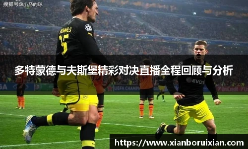 XK体育