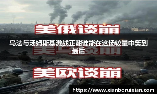 XK体育官网入口