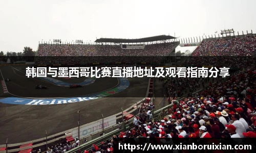 XK体育官网入口