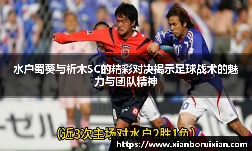 XK体育官网入口