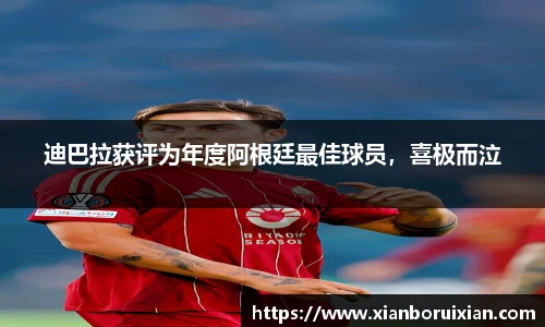 XK体育官网入口