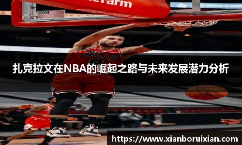XK体育官网