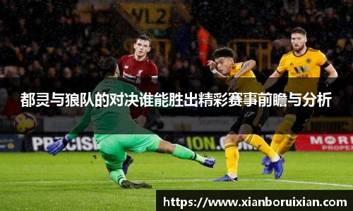 XK体育官网入口
